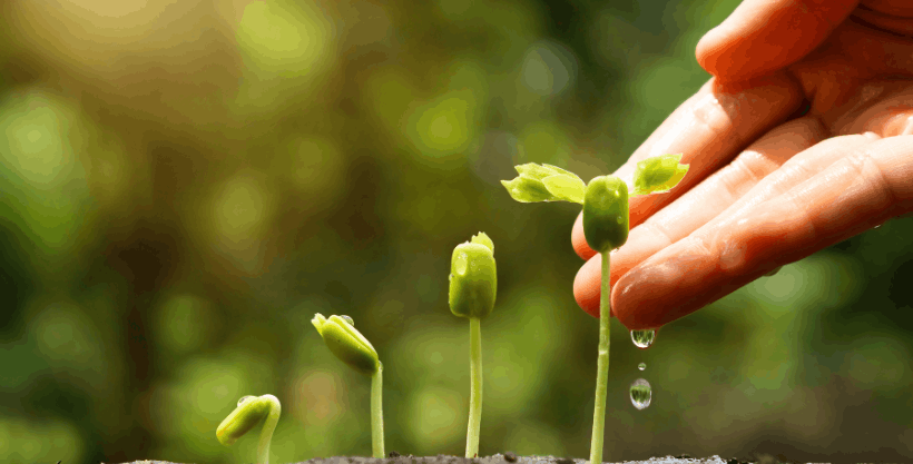 agriculture-marketing